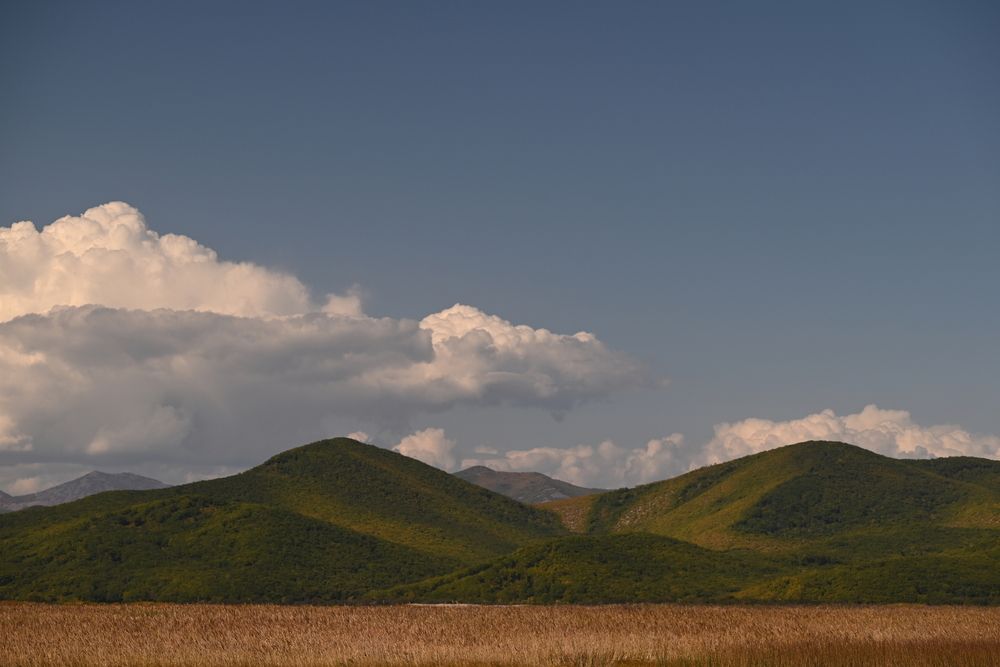 Photograph by Elvira Ner