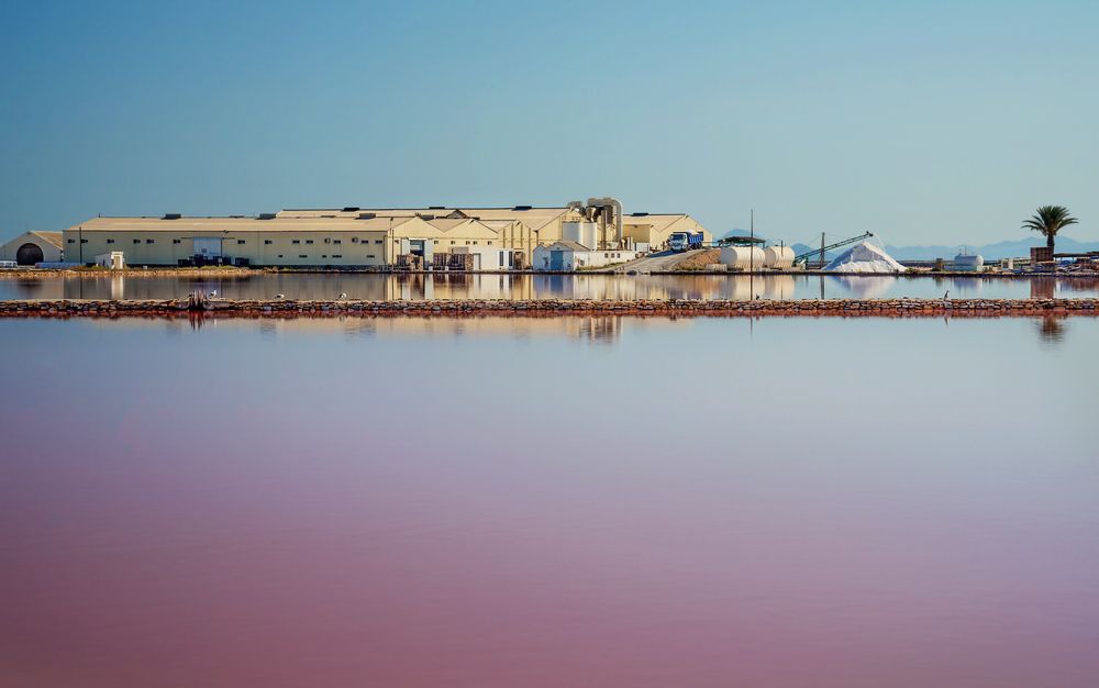 Photograph by Марина Ческис