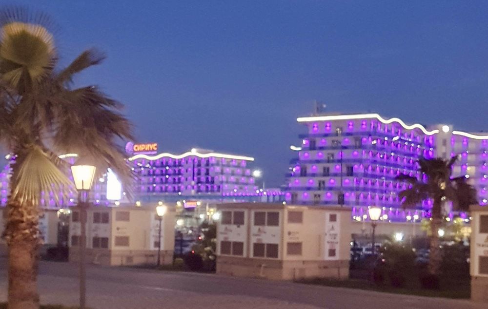 Photograph by Elena Ibragimova