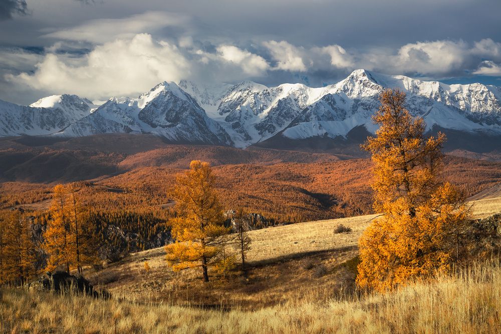 Фотография автора Максим Сластников