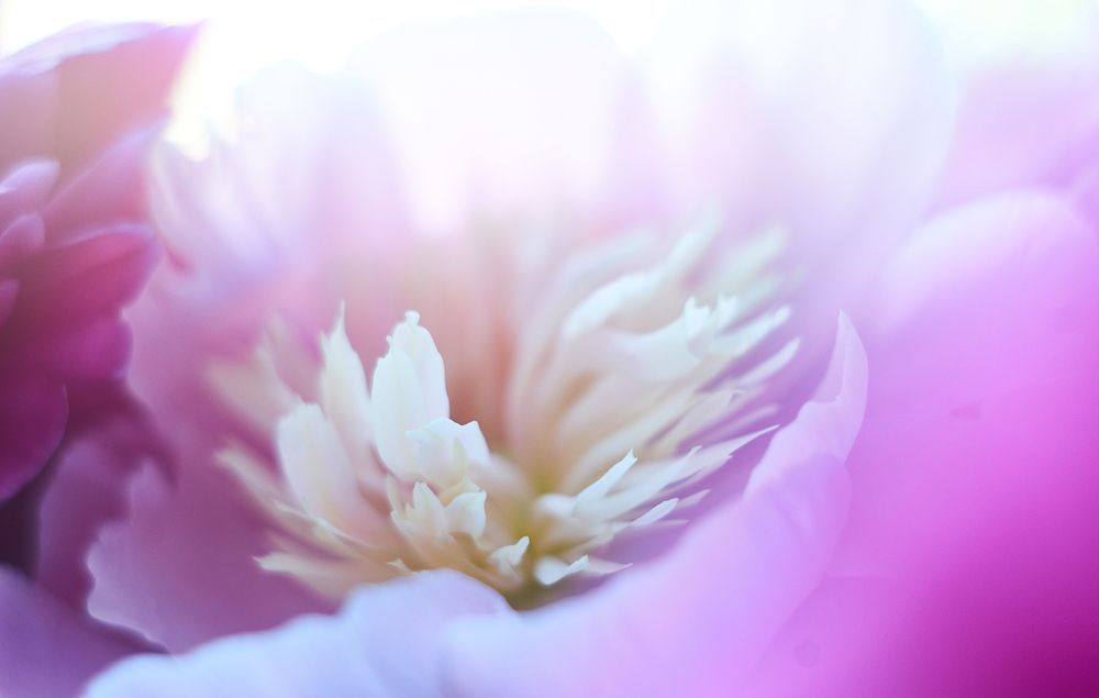 Photograph by Михаил Шевцов