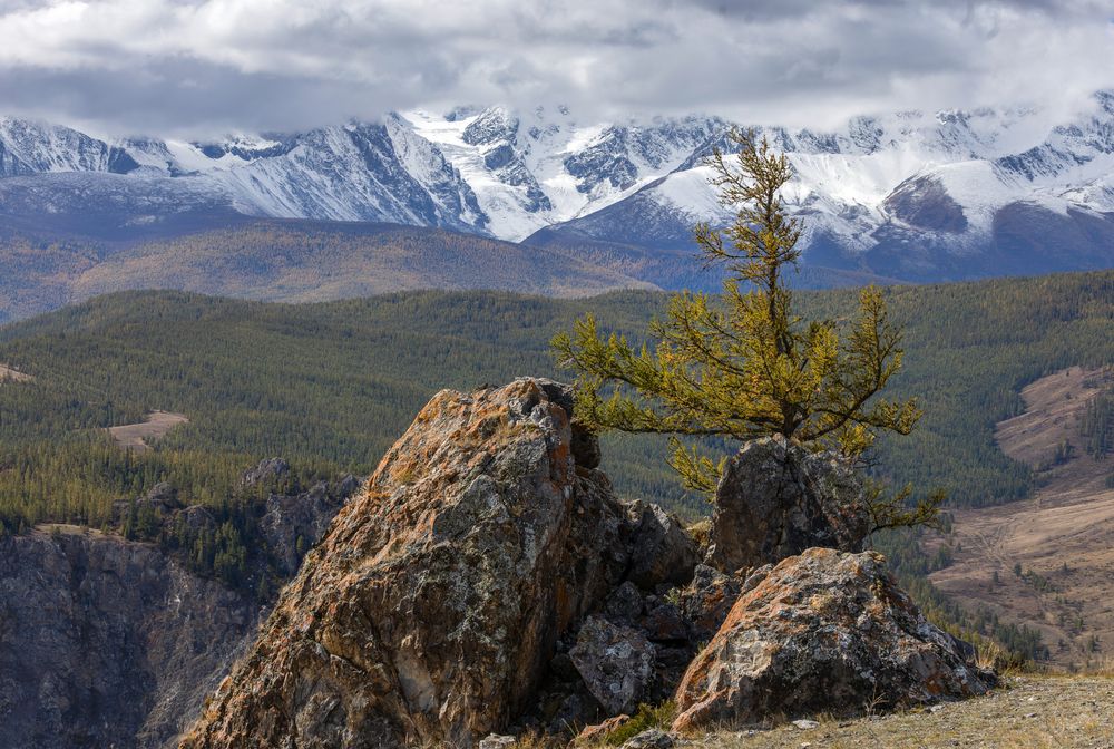 Photograph by Юлия Яковлева