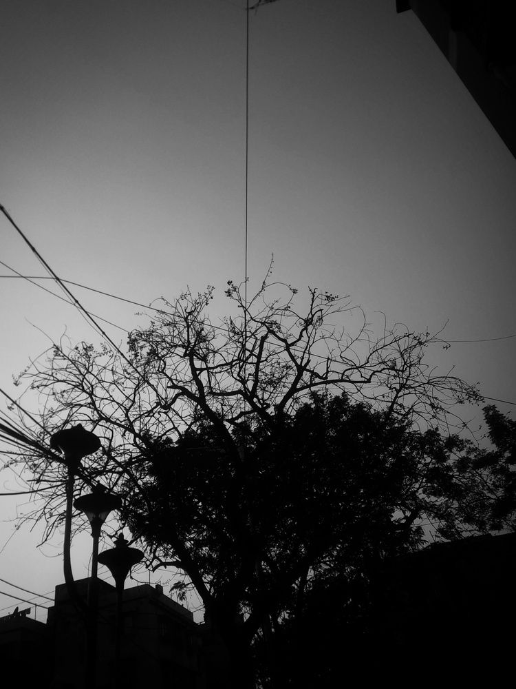Capturing the b/w world.