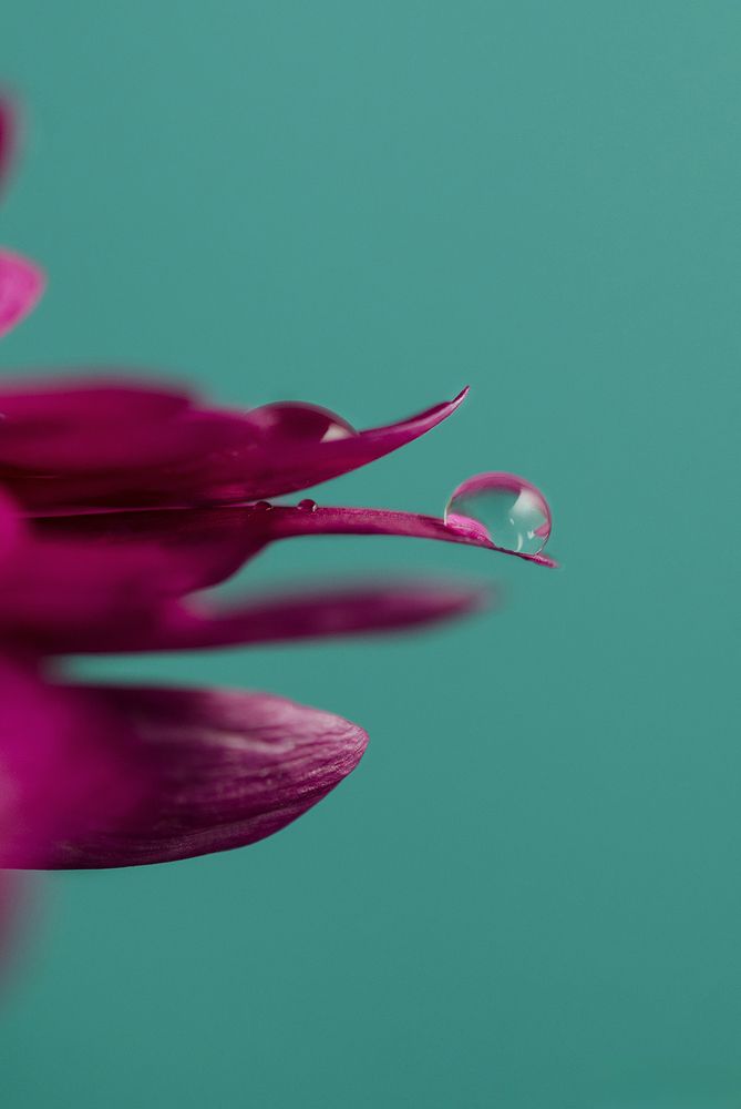 Photograph by Maryam Jassim