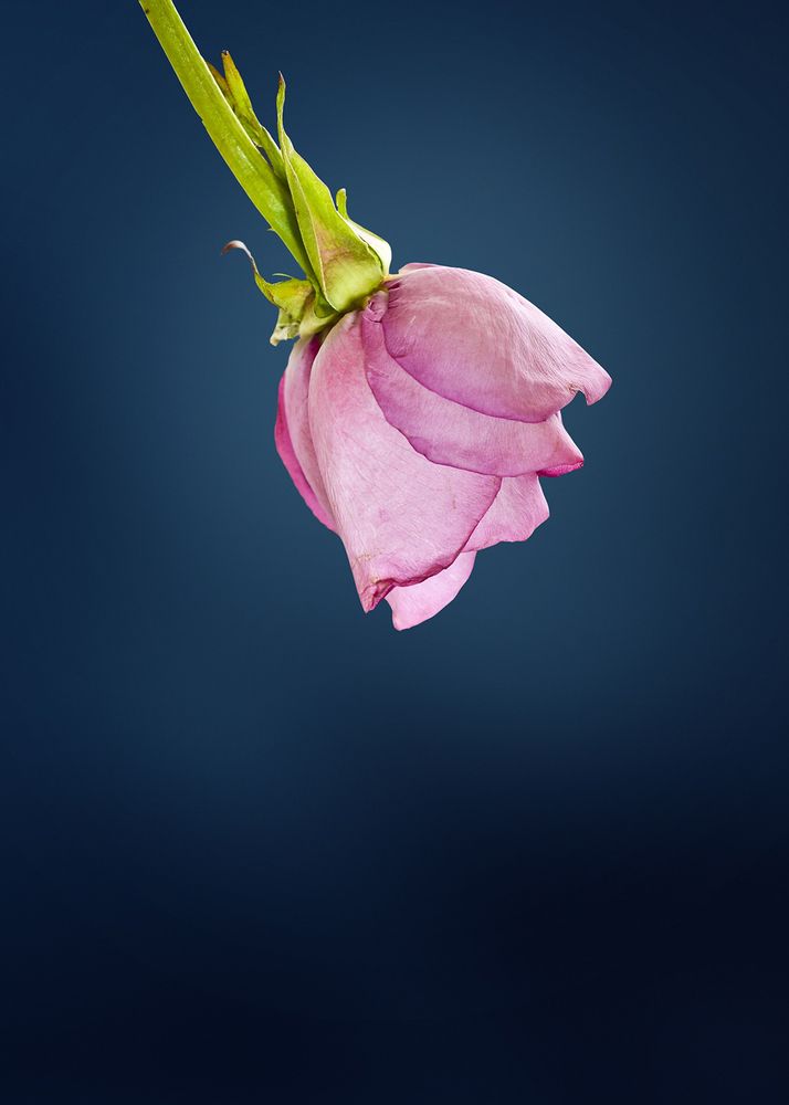 Photograph by Maryam Jassim