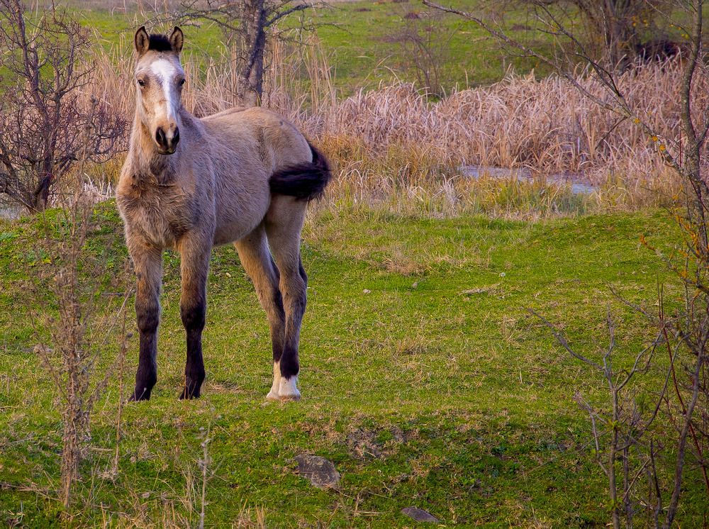 Photograph by Михаил Еремеев