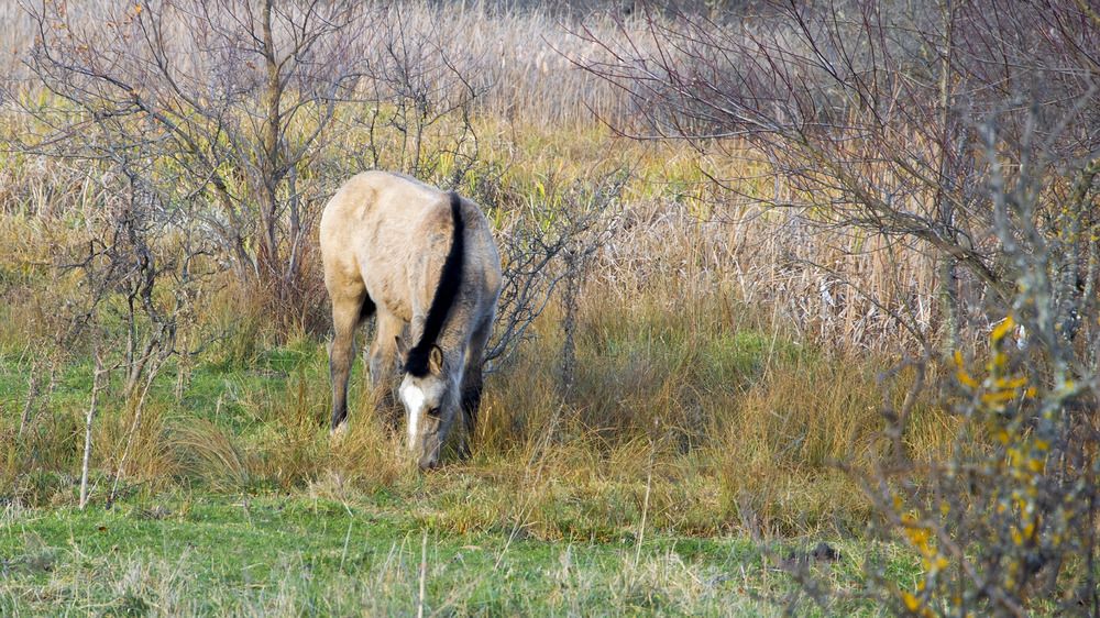Photograph by Михаил Еремеев