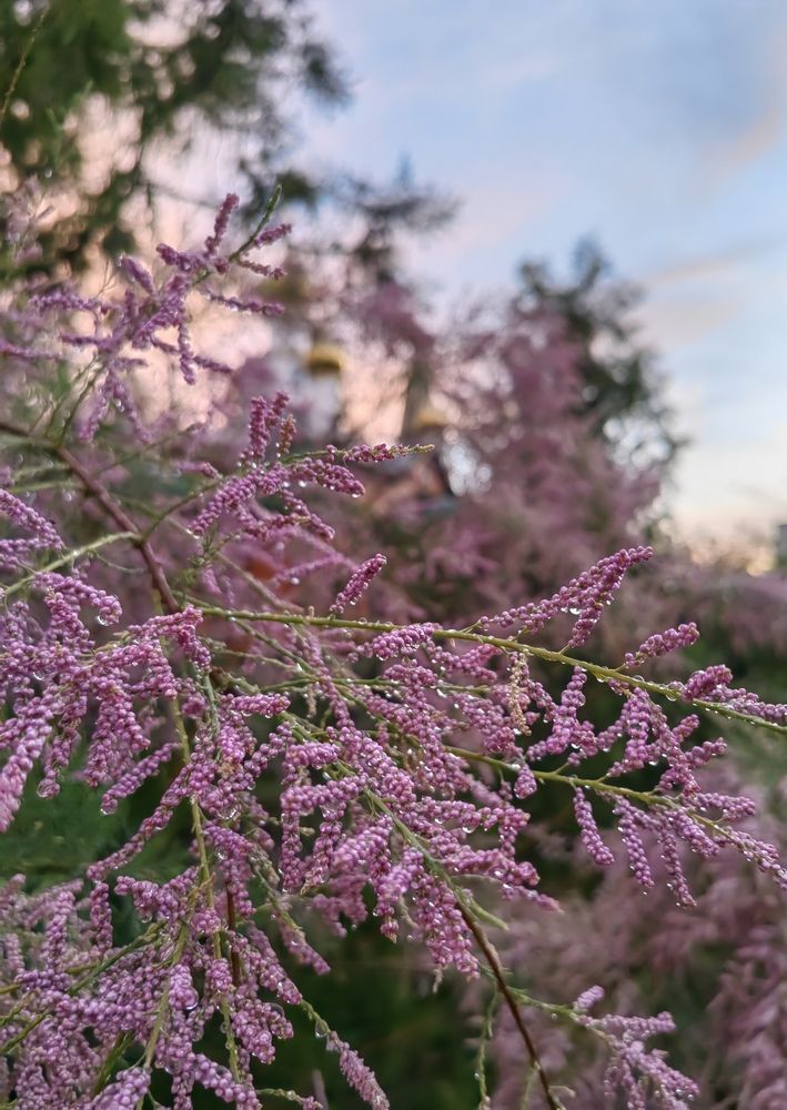 Photograph by Ульяна Кузьмина