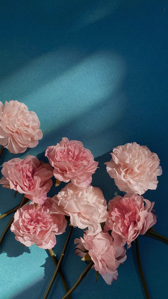 Photograph by Maryam Jassim