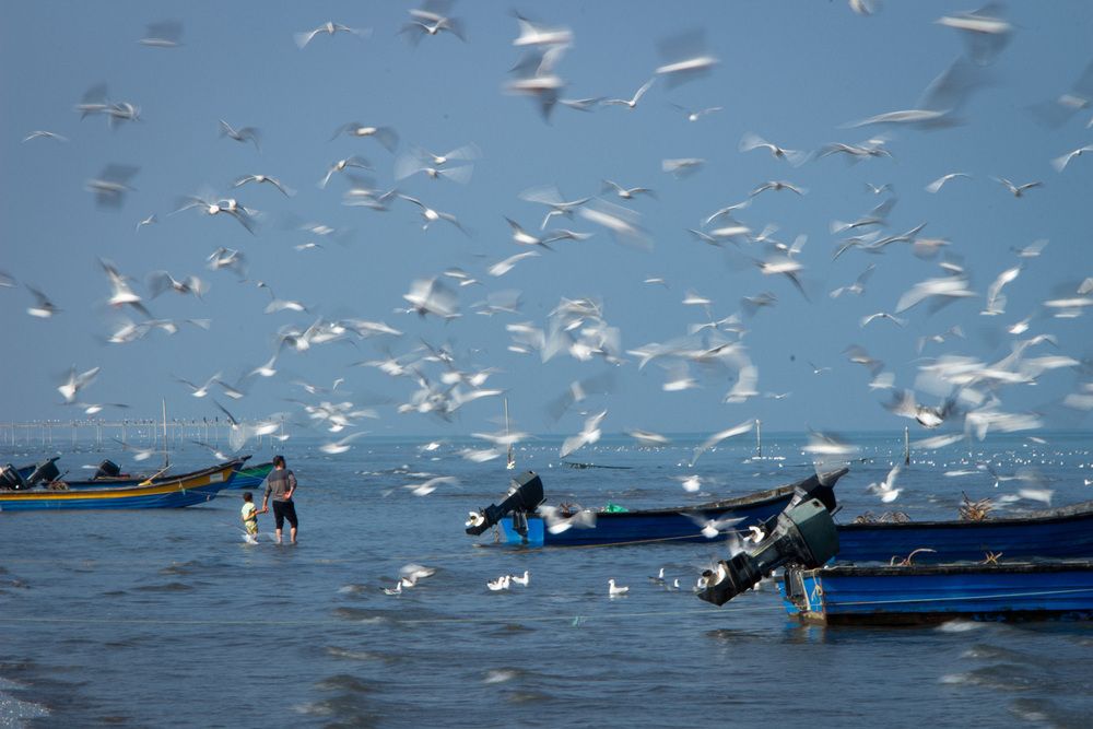 Photograph by pezhman taheri lisar