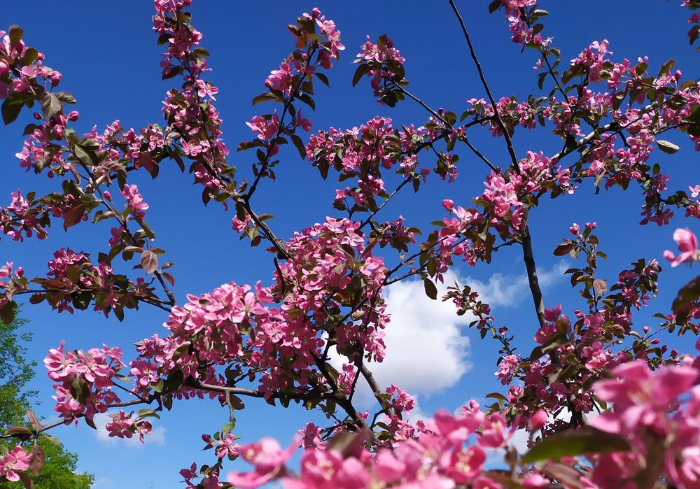 Photograph by Olga Kot