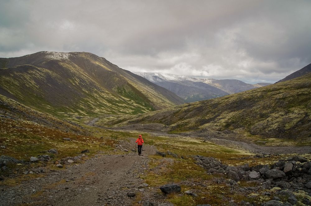 Photograph by Ольга Новикова