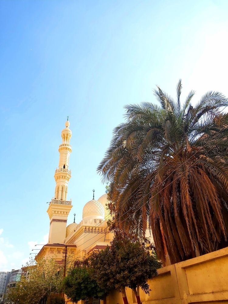 Photograph by Esraa sarhan