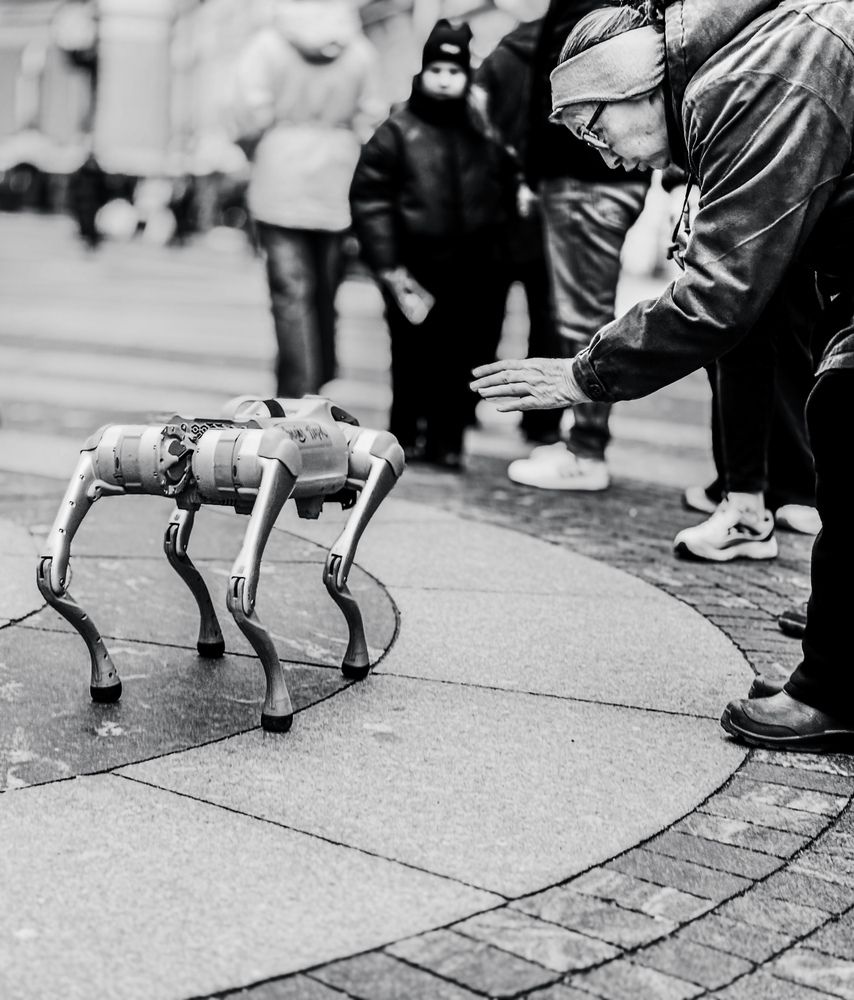 Жест доверия