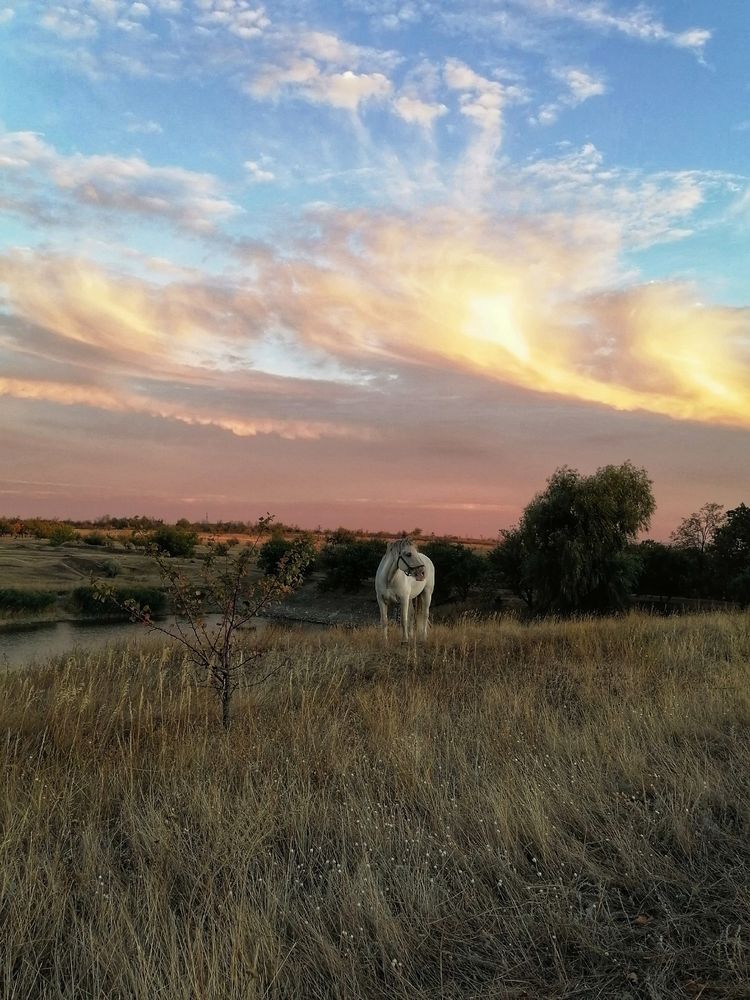 Photograph by Анжелика