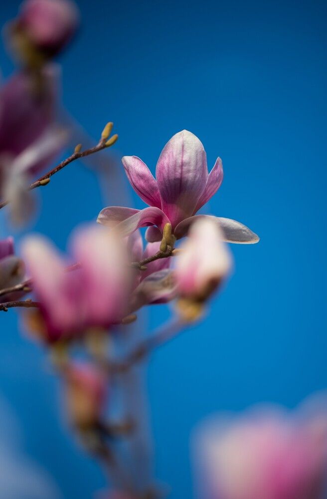 Photograph by levi bagy