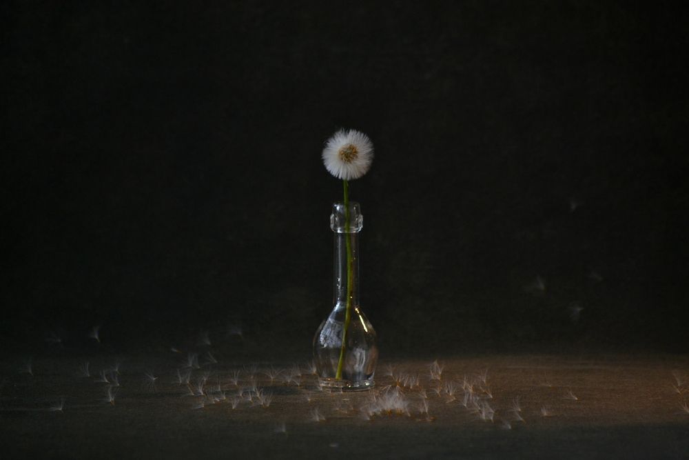 Photograph by Екатерина Климова