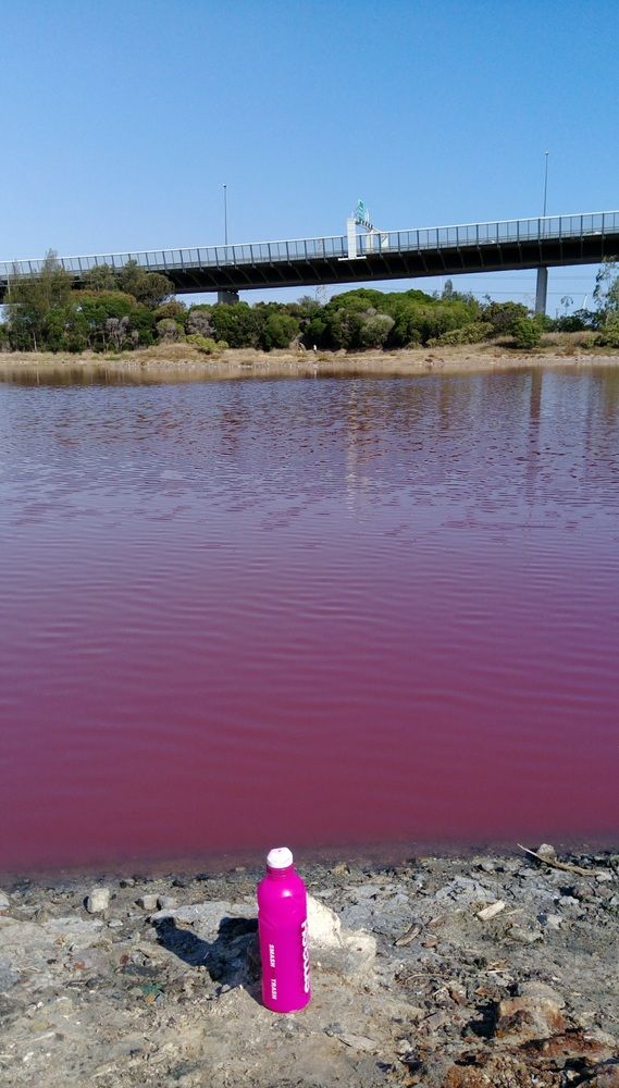 Photograph by Luba Kurchina