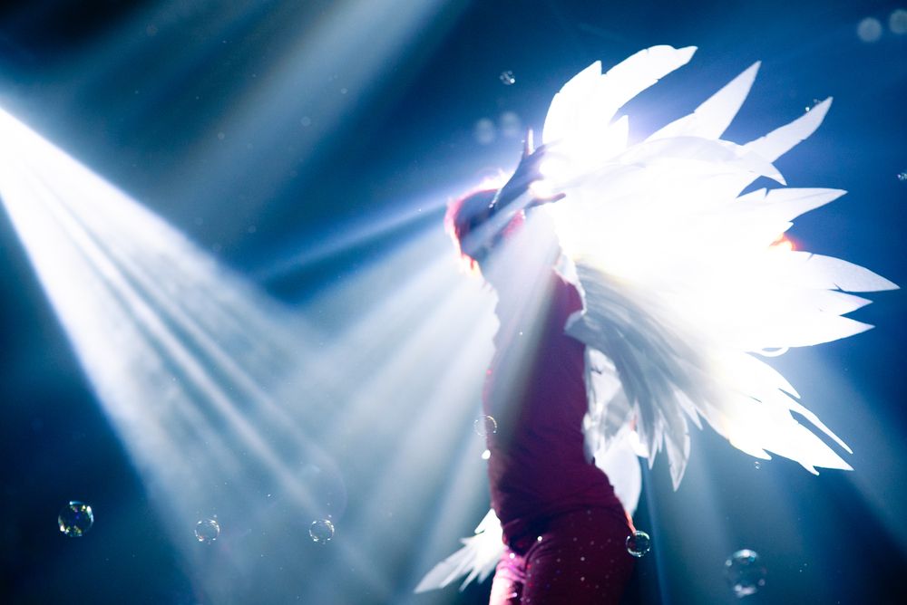 Photograph by  Kotik photo