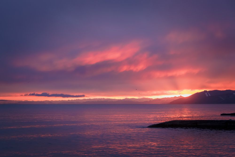 Фотография автора Кирилл Бражников