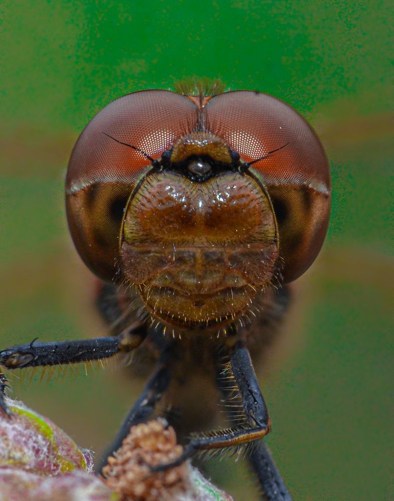 Photograph by Kasun Wickramasinghe