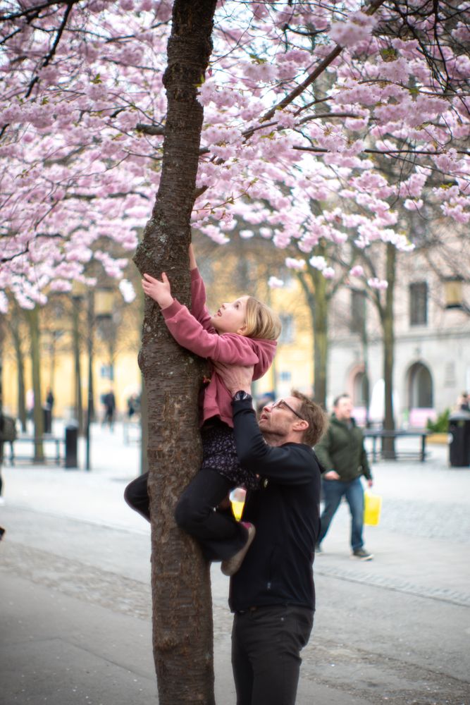 Фотография автора Ruslan Badykov