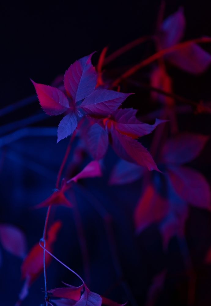 Photograph by Екатерина Одинцова