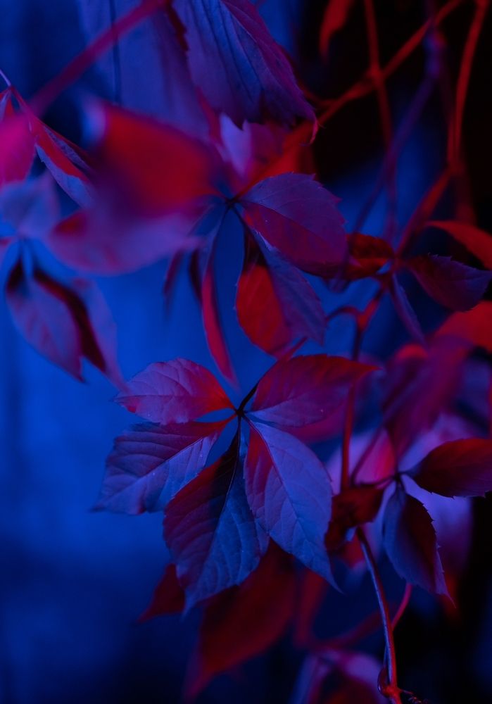 Photograph by Екатерина Одинцова