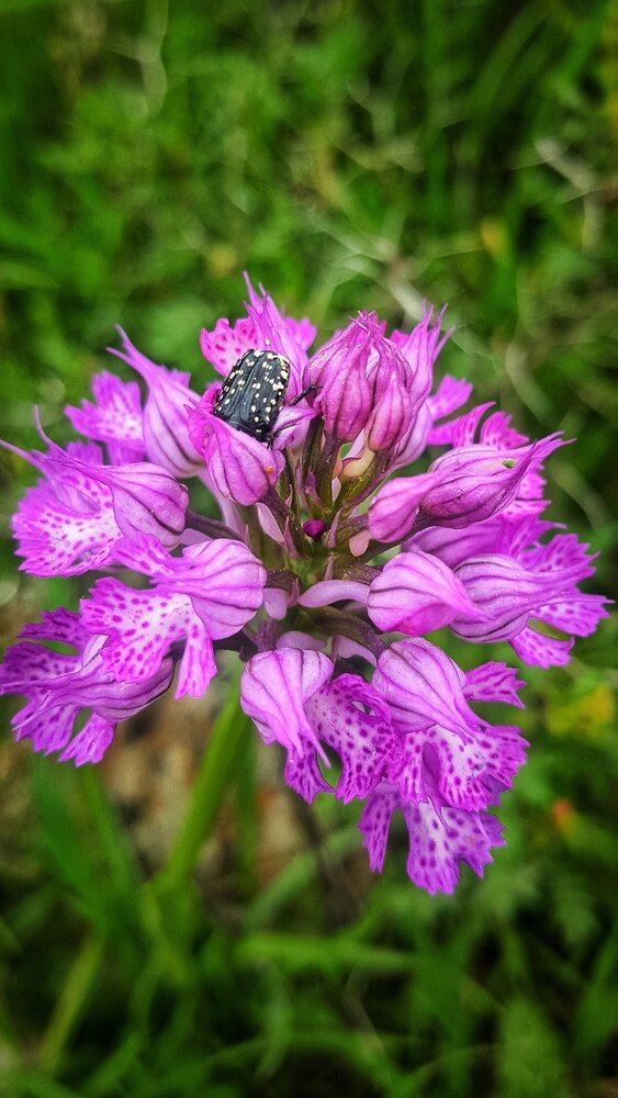 Photograph by Abdallah Khader