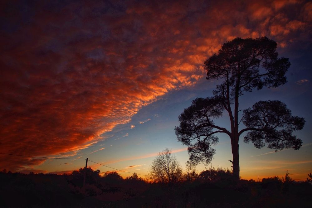 Photograph by Микрокосмос Владимир