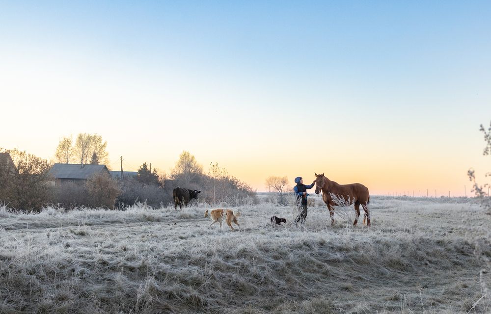 Фотография автора Александра Токарева
