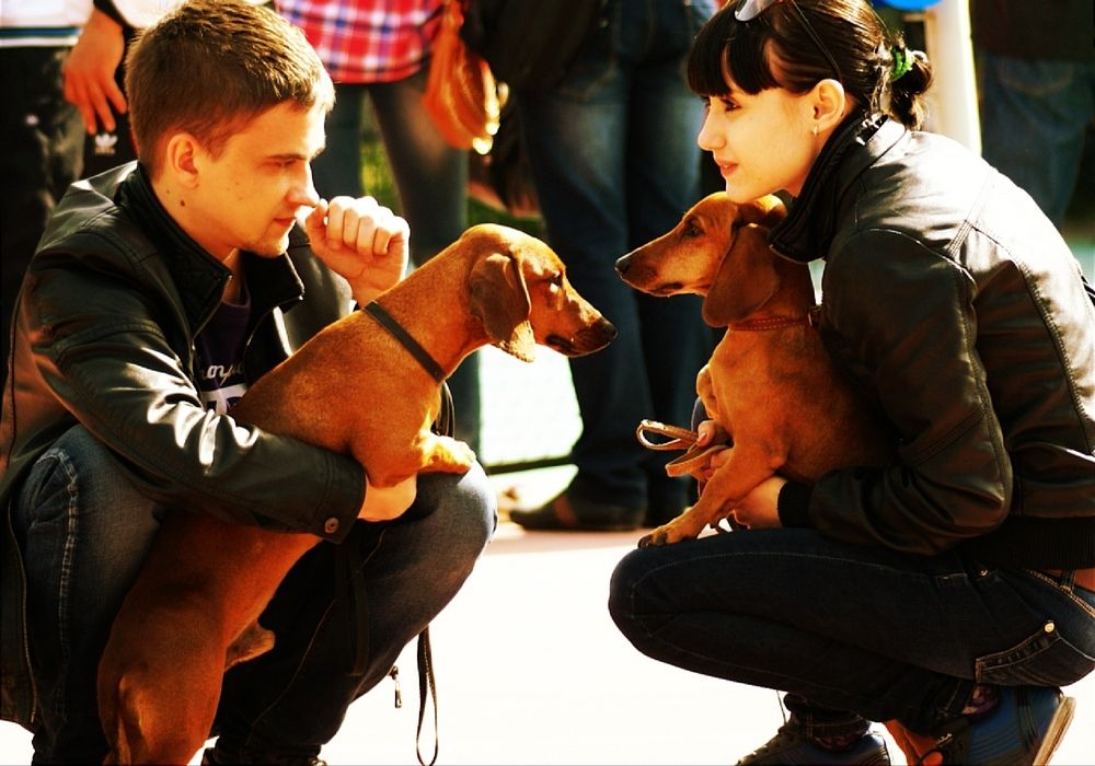 Фотография автора Владимир Ким