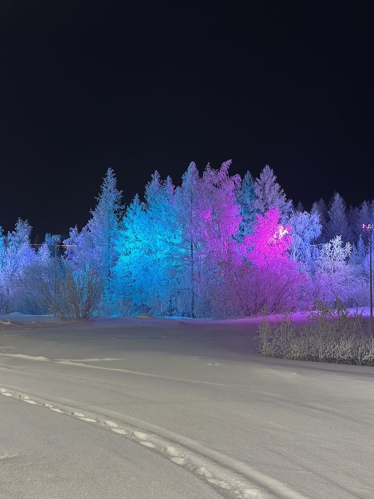 Photograph by Iuliia Govorunenko