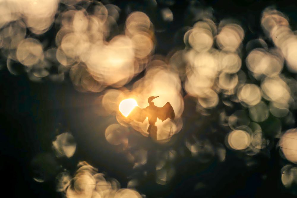 Photograph by Abhishek Pradhan