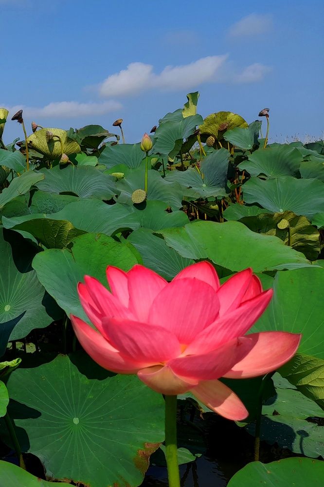 Photograph by Ольга Березовская