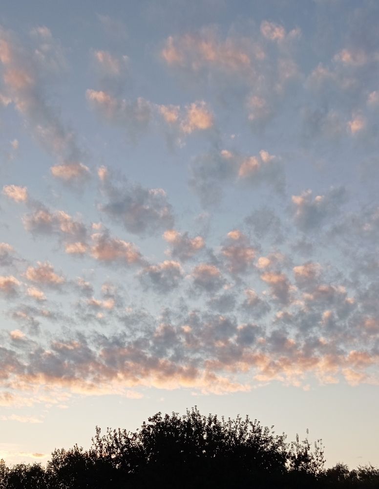 Photograph by Елена Коробченко