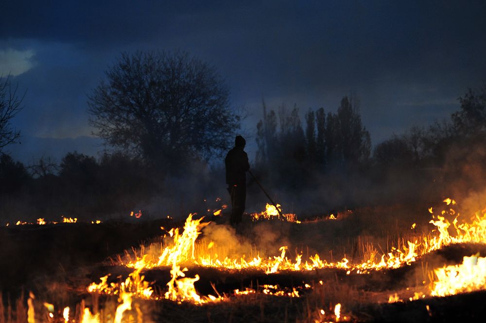 Photograph by Farid Ataei
