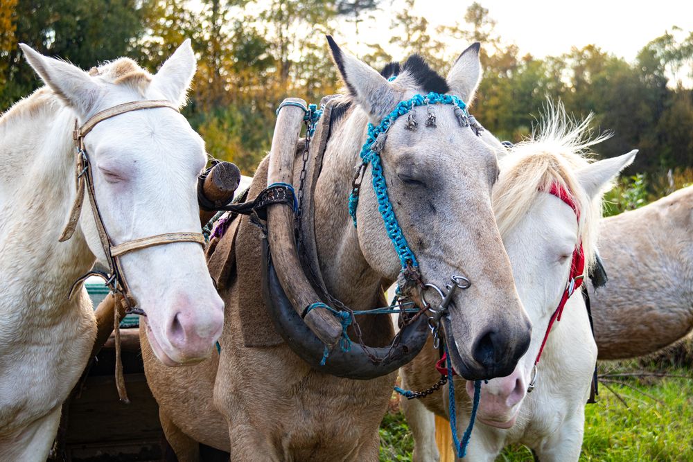 Photograph by Вячеслав Рудинский