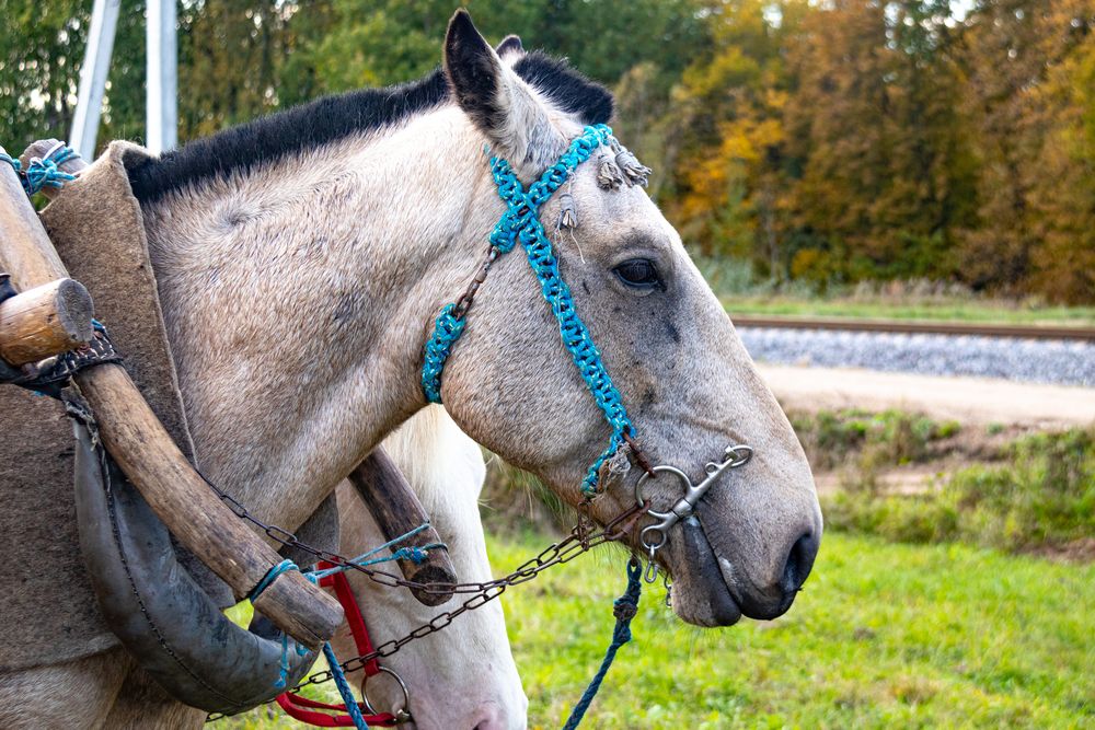 Photograph by Вячеслав Рудинский