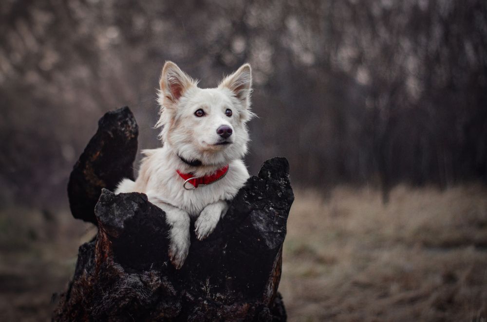 Photograph by Арина Денисовна