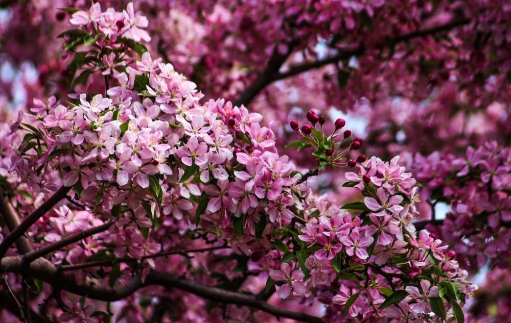 Photograph by Елена Чурынина