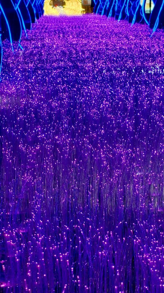 Photograph by Максим Сундеев