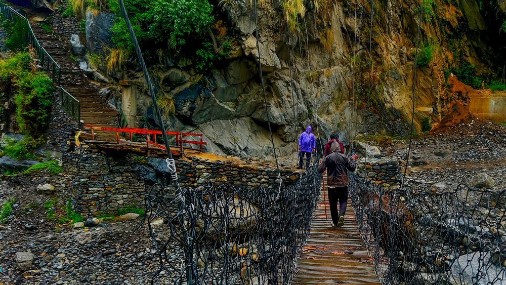 Фотография автора savitri Rawat