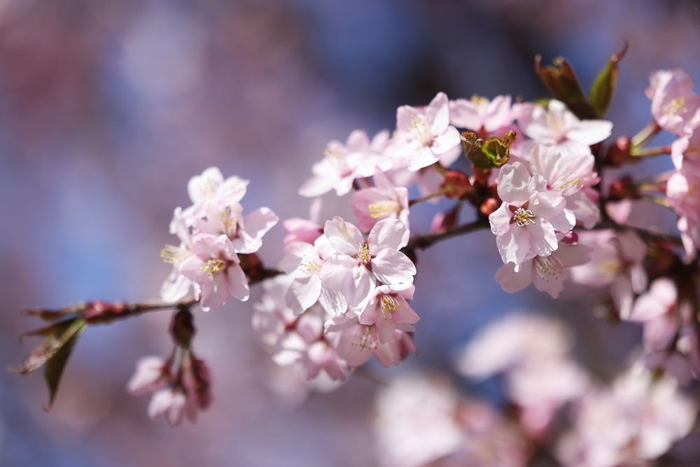 Фотография автора Natalia Kuzmina