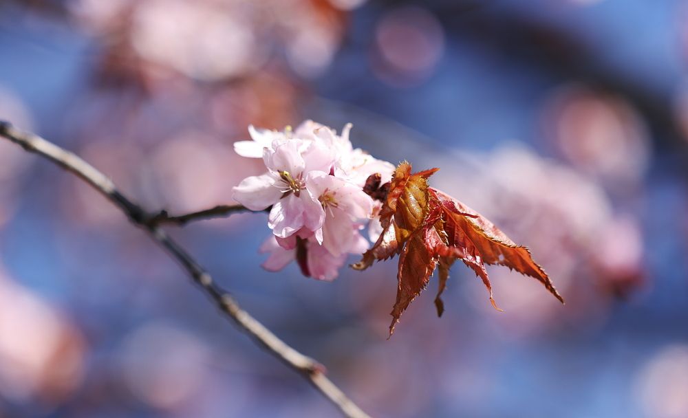 Фотография автора Natalia Kuzmina