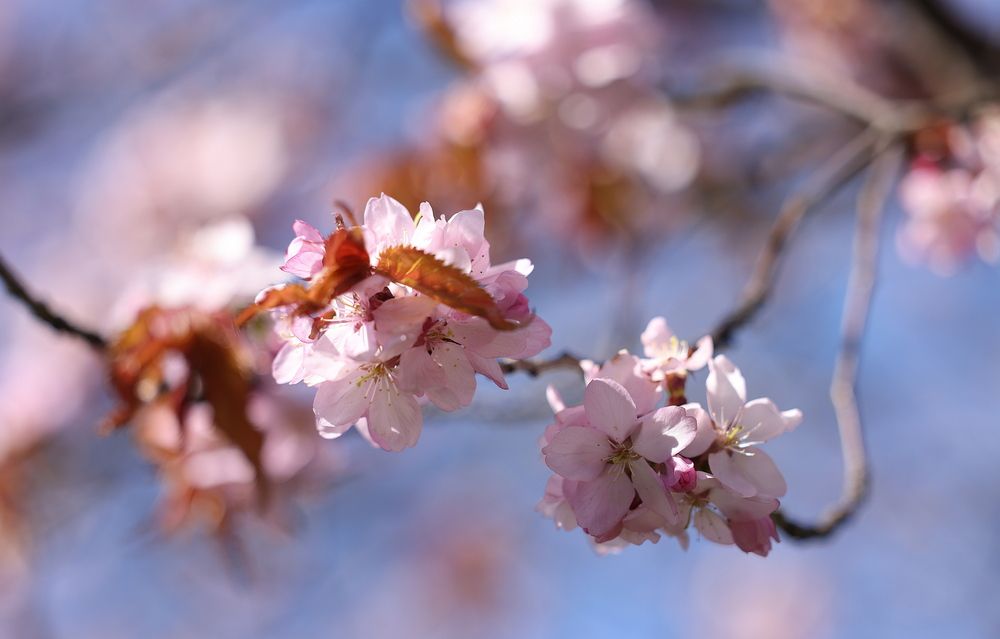 Фотография автора Natalia Kuzmina