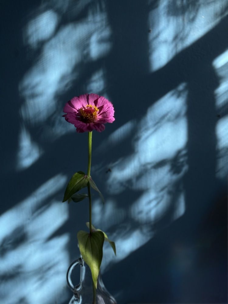 Photograph by Наталья Сережко