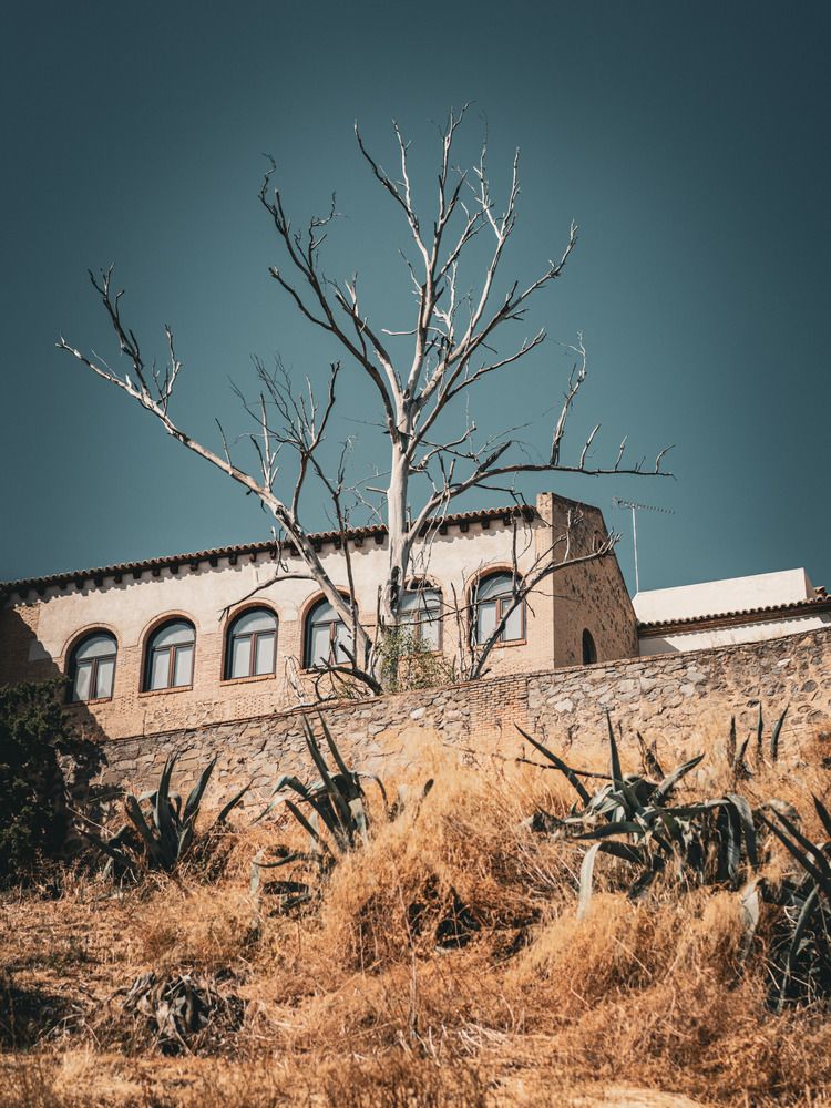 Photograph by Katherine Erlich