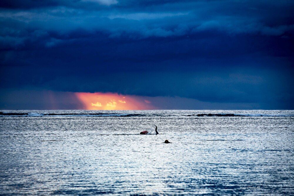 Photograph by Plakida Alexander