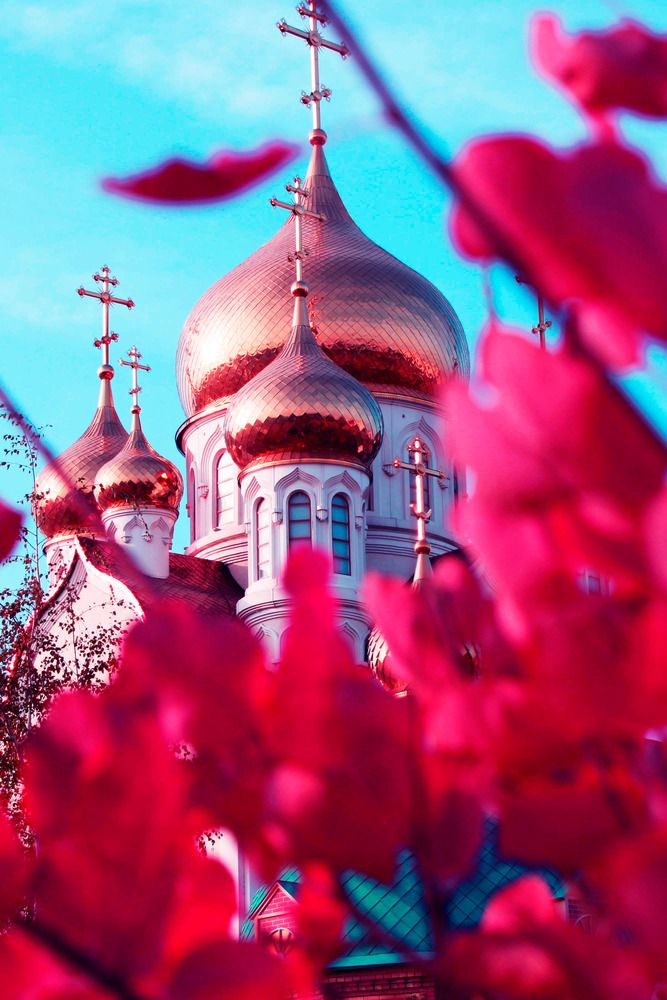 Photograph by Дарья Колесниченко